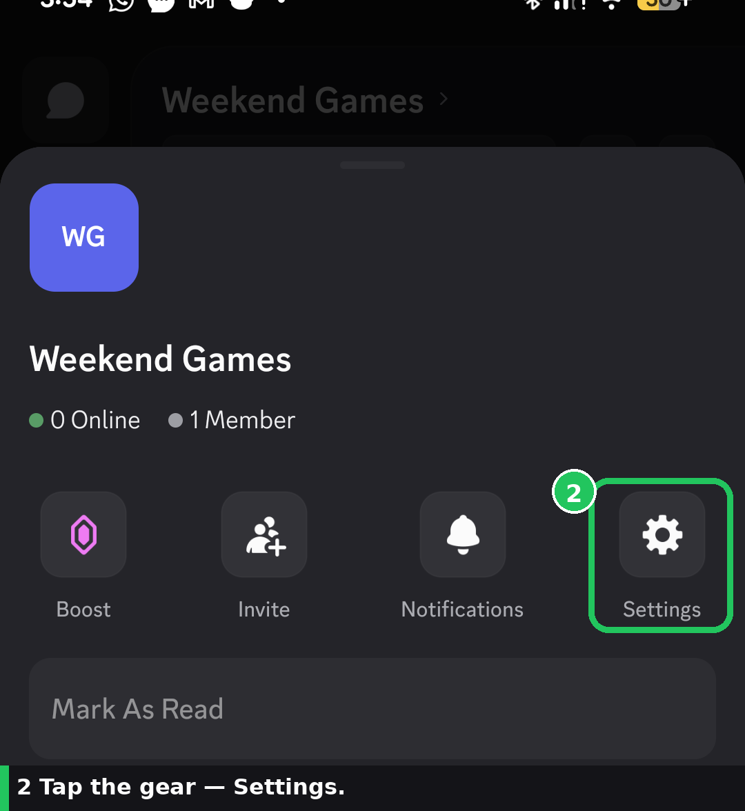 Discord mobile server sheet with the Settings gear highlighted