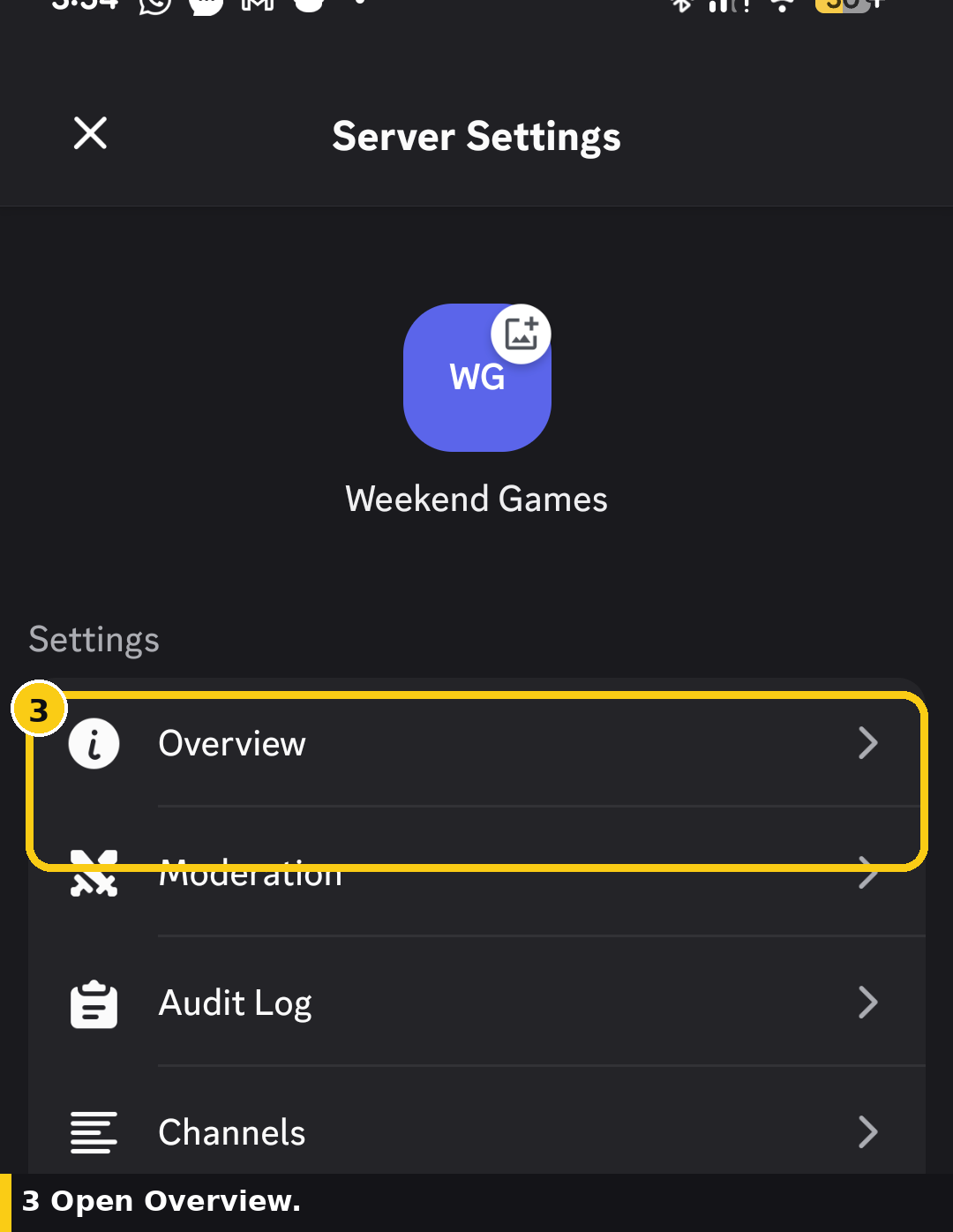Discord mobile Server Settings list with Overview highlighted
